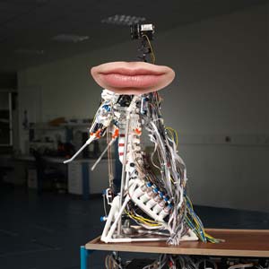 Research Robot (torso), 2012