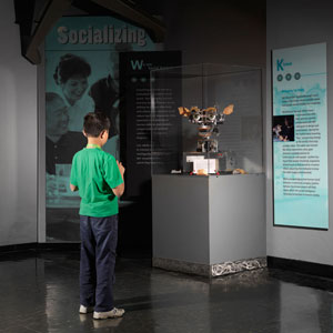 We are Social Animals, MIT Museum, 2012